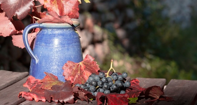 Cambiamenti climatici causano taglio del 7% della produzione mondiale di vino