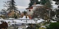 Inverno negli Orti botanici della Lombardia: mostre, attività educative e nuovi progetti in corso