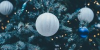 Natale: al via shopping di alberi veri, 44 euro di spesa
