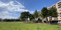 Arbolia e WINDTRE realizzano un bosco urbano da 1.000 alberi a Taranto