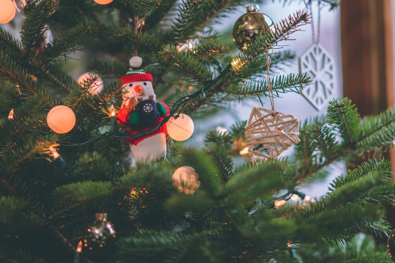 Albero di Natale, PEFC: "La scelta più sostenibile resta l'albero vero"