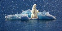 Clima, nuovo record negativo per l'estensione dei ghiacci nel mare Antartico