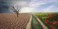 Indagine della BEI sul clima: italiani ritengono che la transizione verde migliorerà la vita
