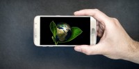 Deloitte: nel 2022 gli smartphone genereranno 146 milioni di tonnellate di CO2 a livello globale