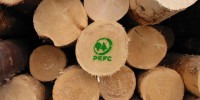 PEFC: il legname proveniente dalla Russia e dalla Bielorussia è considerato “legname di guerra”