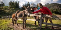 Dolomiti Paganella: 5 esperienze da vivere a contatto con gli animali 