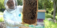 Apicoltori in piazza per la Giornata mondiale delle api