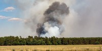 Allarme incendi, PEFC: tra siccità e temperature record, a rischio migliaia di ettari di bosco