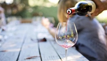 I “Signori del vino” a Lana e dintorni in Alto Adige  