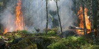 Copernicus: emissioni incendi boschivi europei al top da 15 anni  