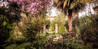 I giardini di Ferrara svelano i loro segreti