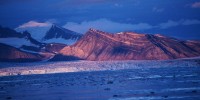 Epson: nuova campagna ambientale sull'inverdimento dell'Artico