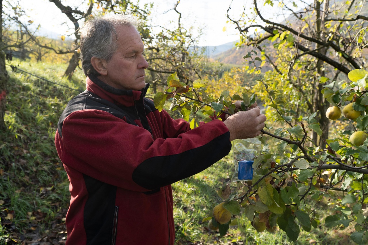 HUAWEI e WWF insieme  per la tutela della biodiversità negli ambienti agricoli