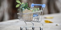 Sustainability Perceptions Index, ricerca: 79% consumatori riduce acquisto marchi non sostenibili