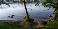 Lago d'Orta: i canneti e la felce del lago sono in pericolo