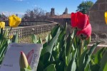 Negli Orti botanici della Lombardia, risveglio di primavera, tra scienza e meraviglia