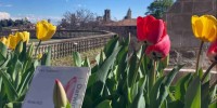 Negli Orti botanici della Lombardia, risveglio di primavera, tra scienza e meraviglia