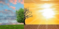 Clima: è Primavera dopo il V anno più caldo di sempre