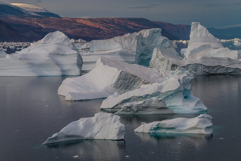 WWF: Missione Artico per scoprire come il cambiamento climatico sta trasformando la Groenlandia
