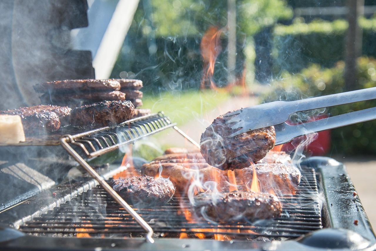 Bovino, vegetale, coltivato: quali sono gli impatti sul clima degli hamburger?