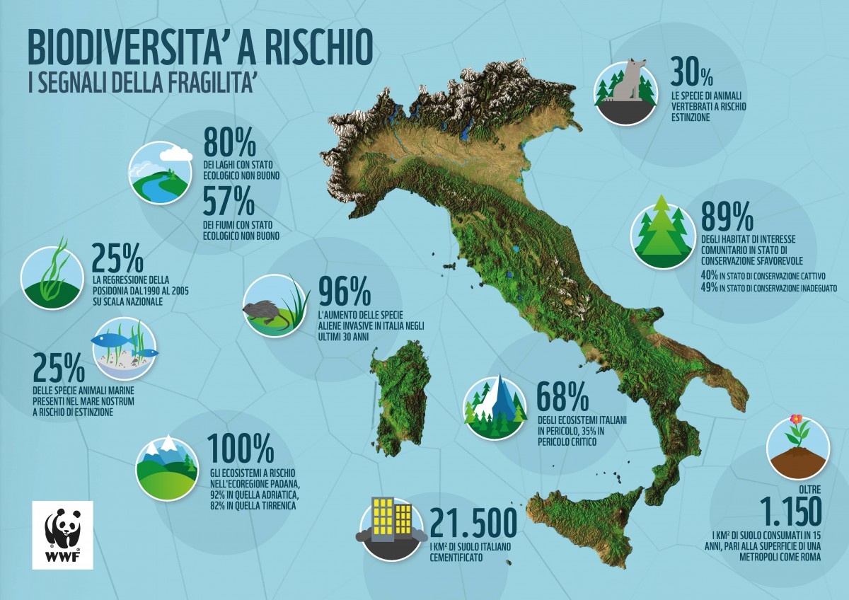 infografica italia fragilita 1683821263