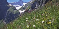 Valle Brembana, torna "Le erbe del casaro": due weekend di iniziative per celebrare la montagna