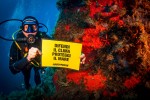 Giornata Ambiente, Greenpeace: 4 italiani su 10 hanno paura dei cambiamenti climatici