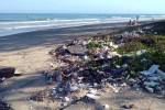 Giornata Ambiente, WWF: superato il limite planetario di plastica e inquinanti chimici