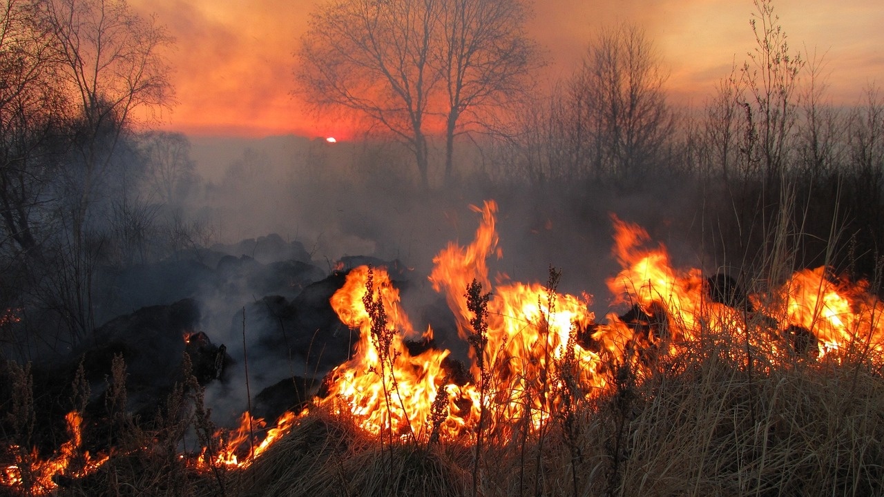 Grecia e Tenerife gravemente colpite dagli incendi durante il mese di agosto