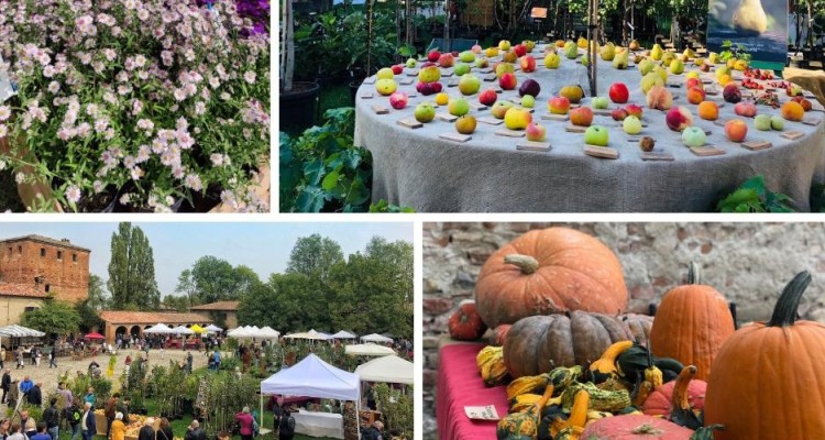 I Frutti del Castello, un viaggio straordinario nella natura d’autunno