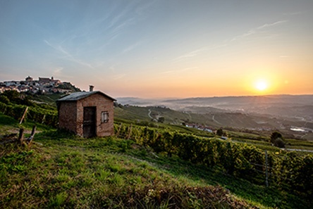 Una pausa al profumo di tartufo a UVE Rooms & Wine Bar di La Morra