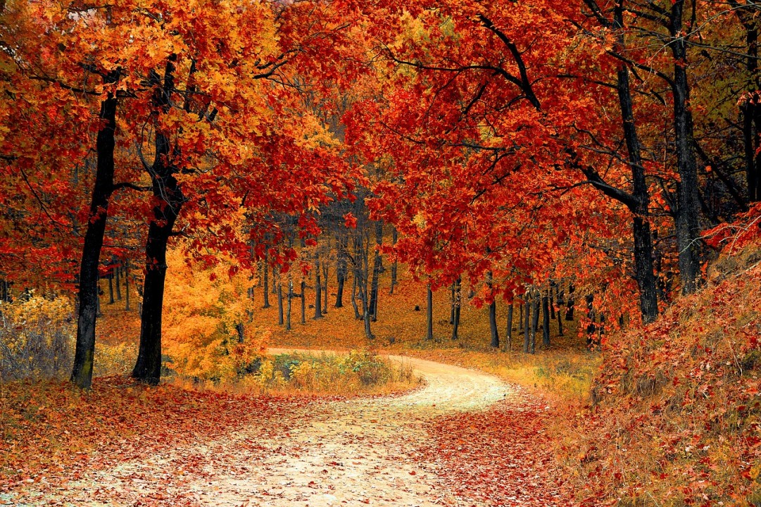 Passione foliage: due weekend in Alta Val Brembana per ammirare la bellezza della natura in autunno