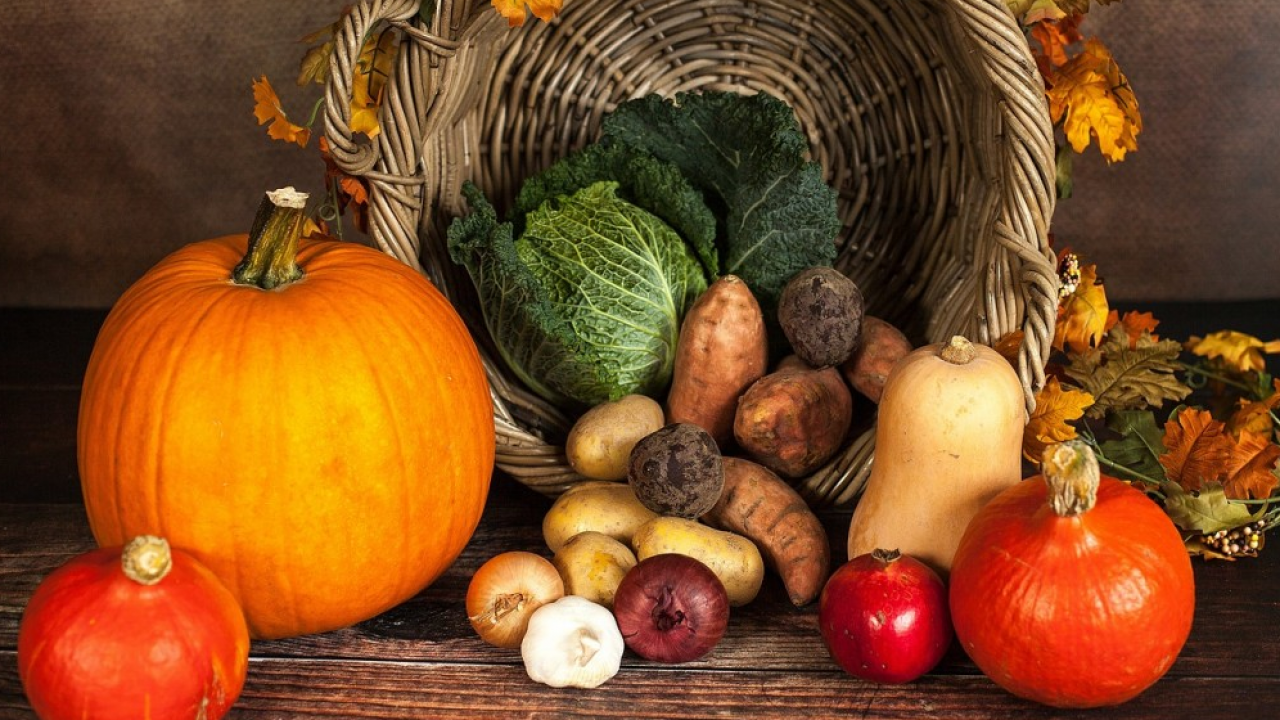 Nasce il Centro di Studi e Ricerca sul Cibo Sostenibile