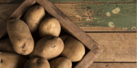 Potatoes Forever! I risultati della survey sulle abitudini di consumo e di acquisto di patate in Italia