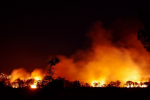 Copernicus: le emissioni più elevate di incendi boschivi per il mese di febbraio in Brasile, Venezuela e Bolivia