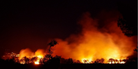 Copernicus: le emissioni più elevate di incendi boschivi per il mese di febbraio in Brasile, Venezuela e Bolivia
