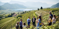 Un anno ricco di appuntamenti enogastronomici in Alto Adige