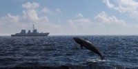 Il Santuario Pelagos si immerge nel Metaverso per iniziative educative a protezione dei mammiferi marini
