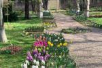 Benvenuta primavera negli Orti Botanici di Lombardia