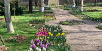 Benvenuta primavera negli Orti Botanici di Lombardia
