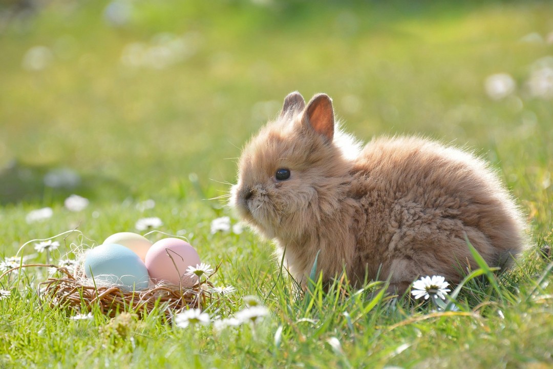 Assoturismo Confesercenti-Cst: Pasqua in crescita, previste più di 7 milioni di presenze