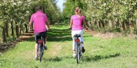 In Romagna Pink Lady organizza il “Bee-bike Tour” per scoprire la fioritura dei meleti,