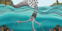 PoliMi: la nanocellulosa sempre più sicura per i nostri mari, le evidenze da uno studio condotto su mitili