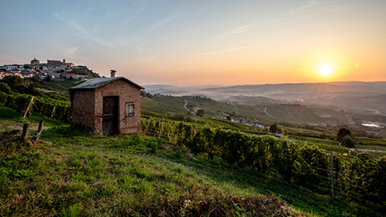 Dieci anni di Unesco per Langhe Roero e Monferrato