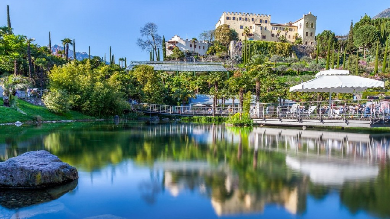 A Merano, dal 16 al 18 giugno 2025, le terze Giornate internazionali meranesi dell’albero