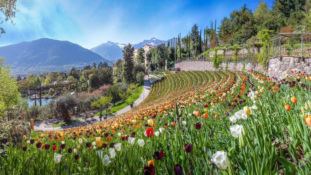 Estate 2025 ai Giardini di Castel Trauttmansdorff: natura, musica, vino e cultura sotto le stelle