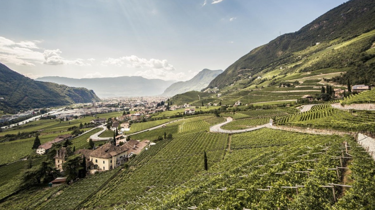 Enoturismo in Alto Adige tra cantine, natura e sport