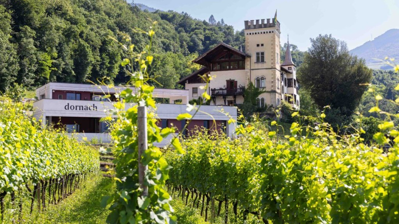 Gallo Rosso: in uscita il catalogo ’25-‘26 “Masi con Gusto” 