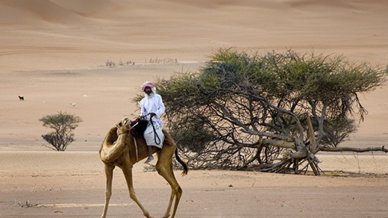 Con KIBO in Oman, tra il deserto e il mare