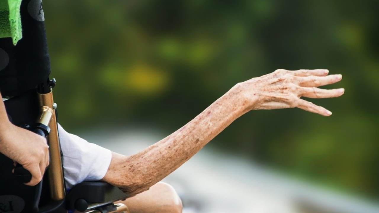 Giardini di Castel Trauttmansdorff: a settembre Giornata delle porte aperte ai disabili e Giornata dei Cori  